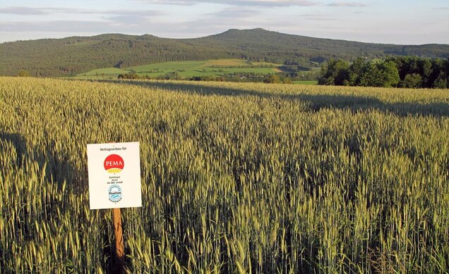 advertising on field shows contract cultivation