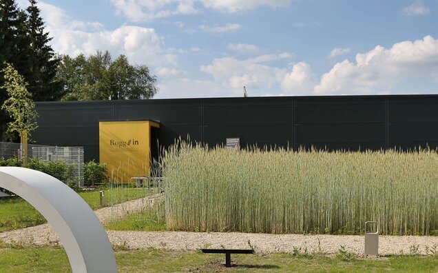 gras and field in front of the rye information centre